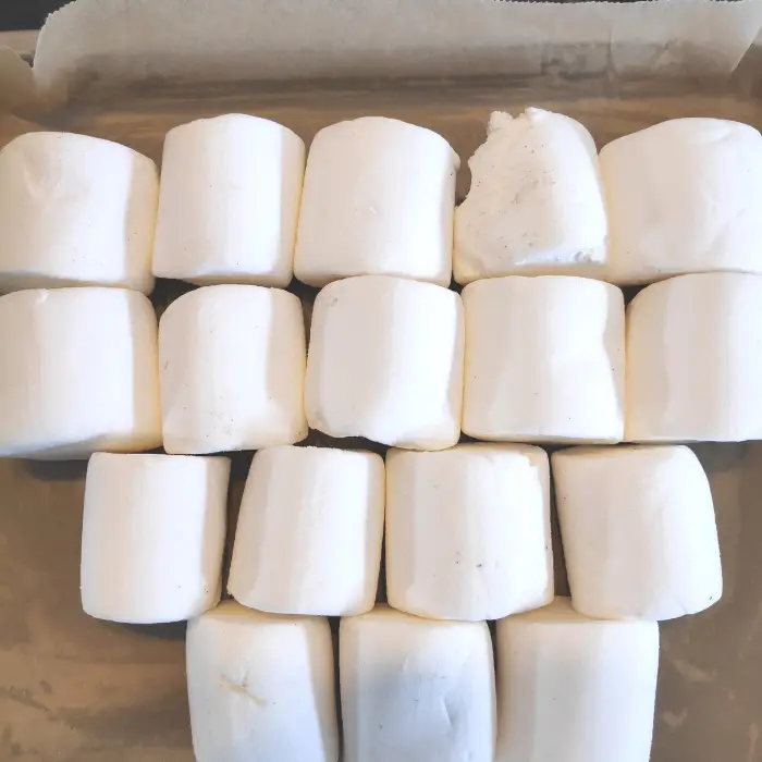 marshmallow ideas