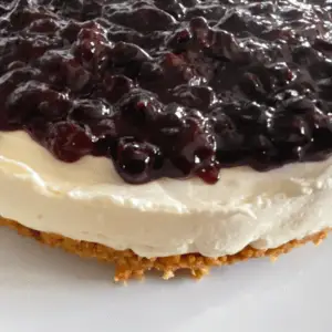 fresh blackcurrant cheesecake no bake recipe
