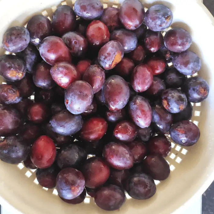 plums in a bowl for crumble