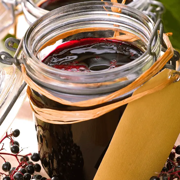 elderberry and damson jam recipe uk beginner