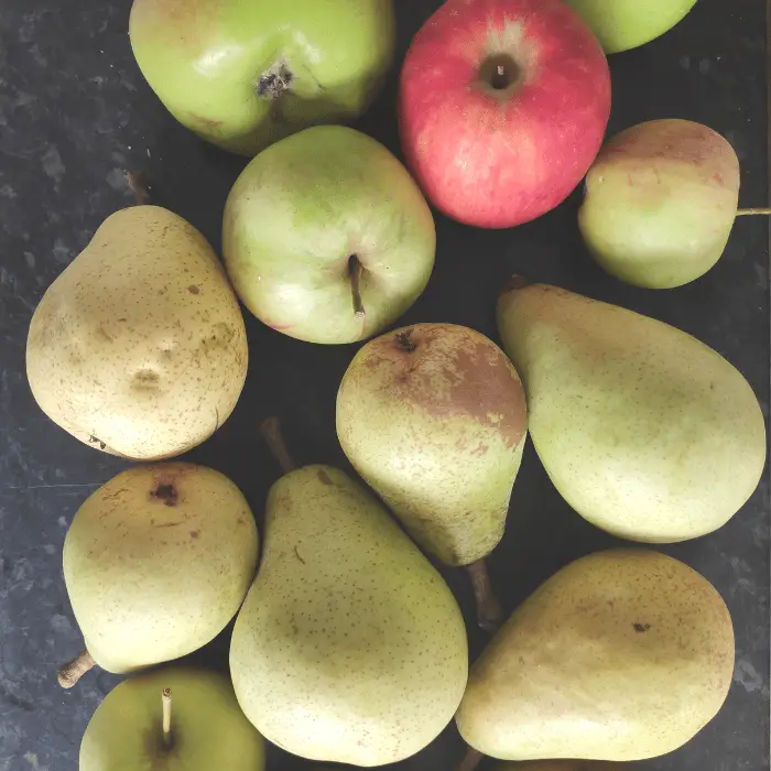 apple and pears for crumble uk