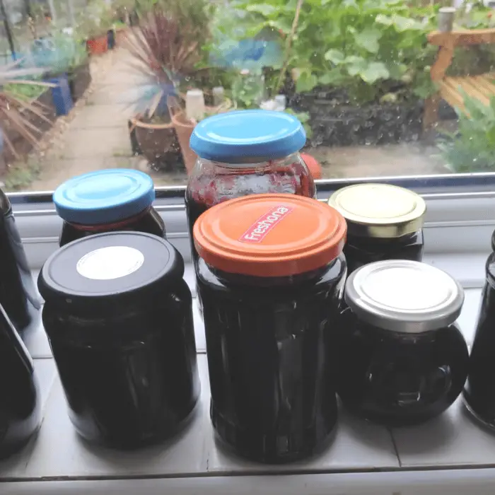 elderberry jam in poppable jam jars uk