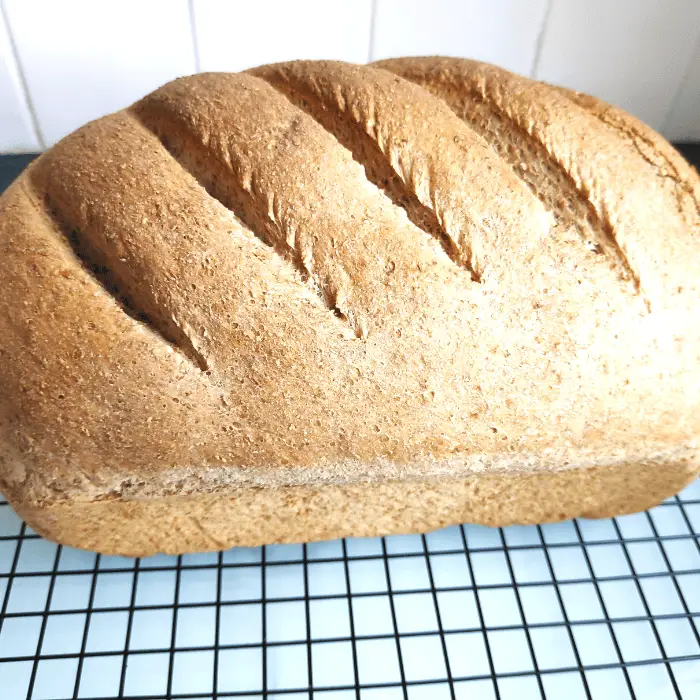 fresh farmhouse bread wholemeal and white sandwich 