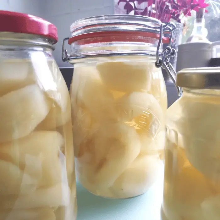 How To Preserve Pears In A Jar With Sugar Recipe