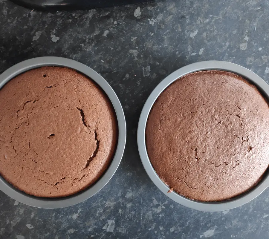 two chocolate yoghurt cake in sandwich tins