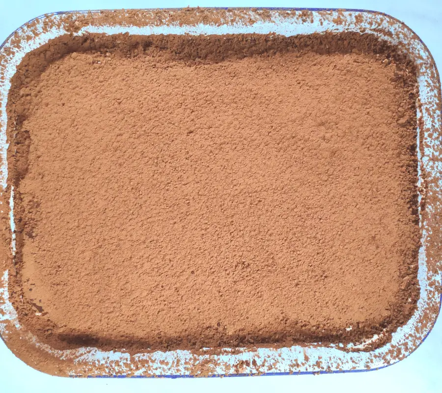 dusting of cocoa powder on top of tiramisu