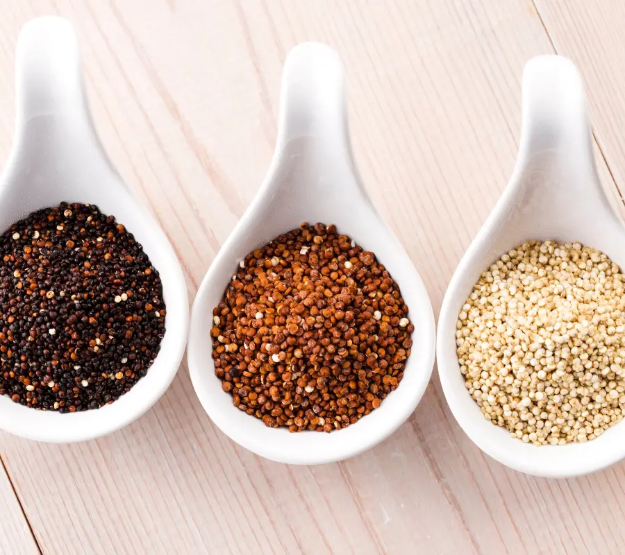 tri coloured quinoa seeds