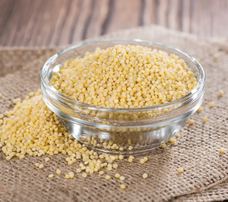 raw millet in a bowl