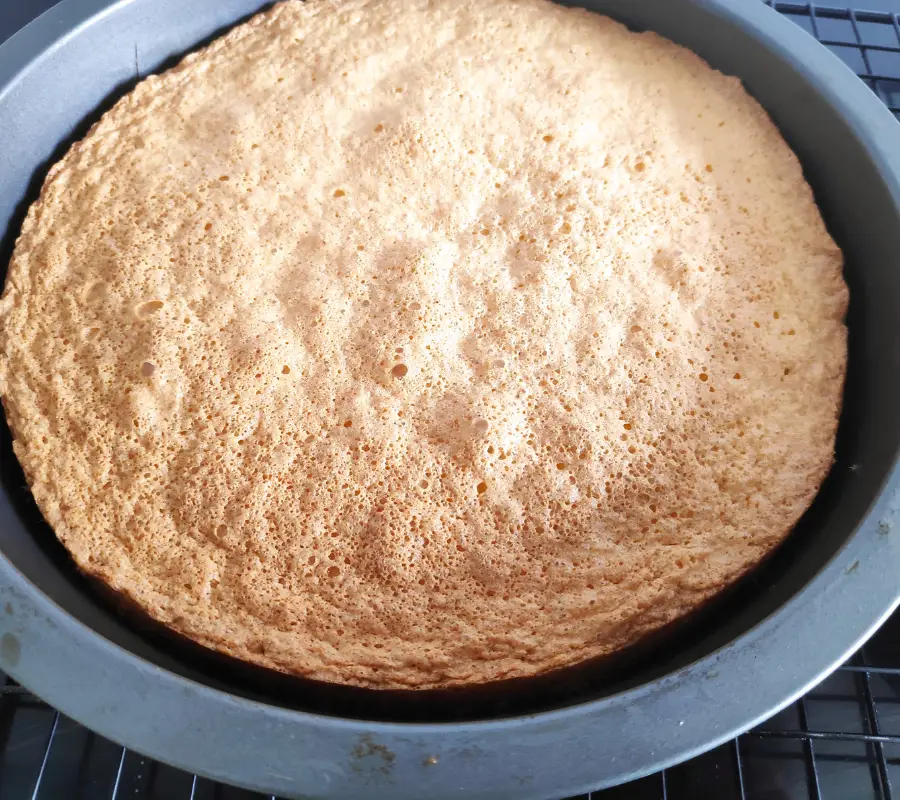 Baked sponge for wimbledon cake