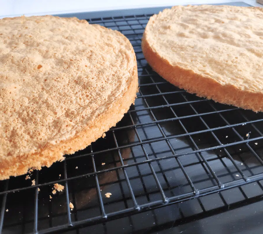 sponges cooling on a rack