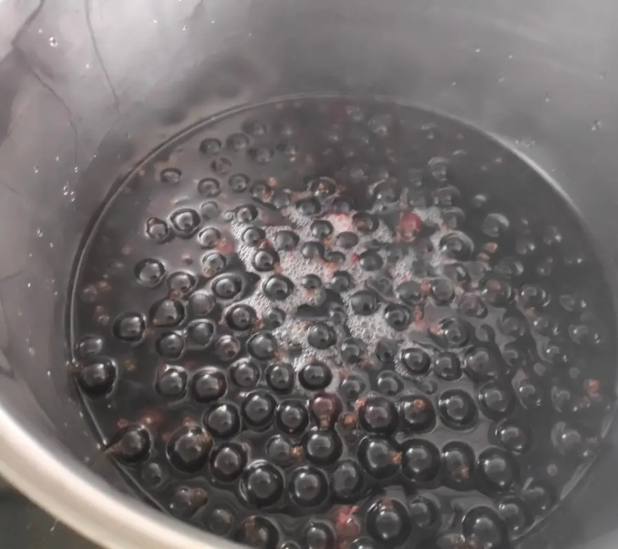 boiling blackcurrants in water