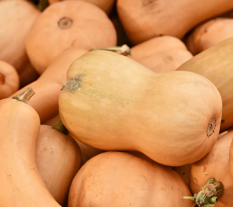 12 Best Substitutes for Butternut Squash This Winter