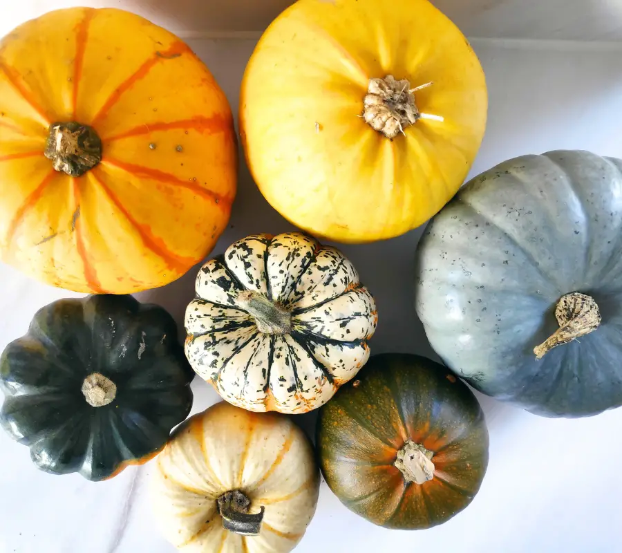 7 different types of squash displayed on a counter