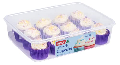 single layer cupcake storage box
