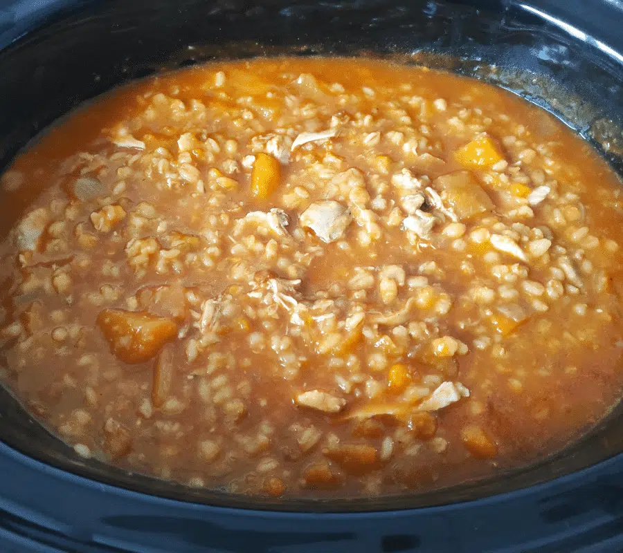 chicken and barley stew cooked in the slow cooker