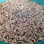 puffed quinoa popped in a frying pan