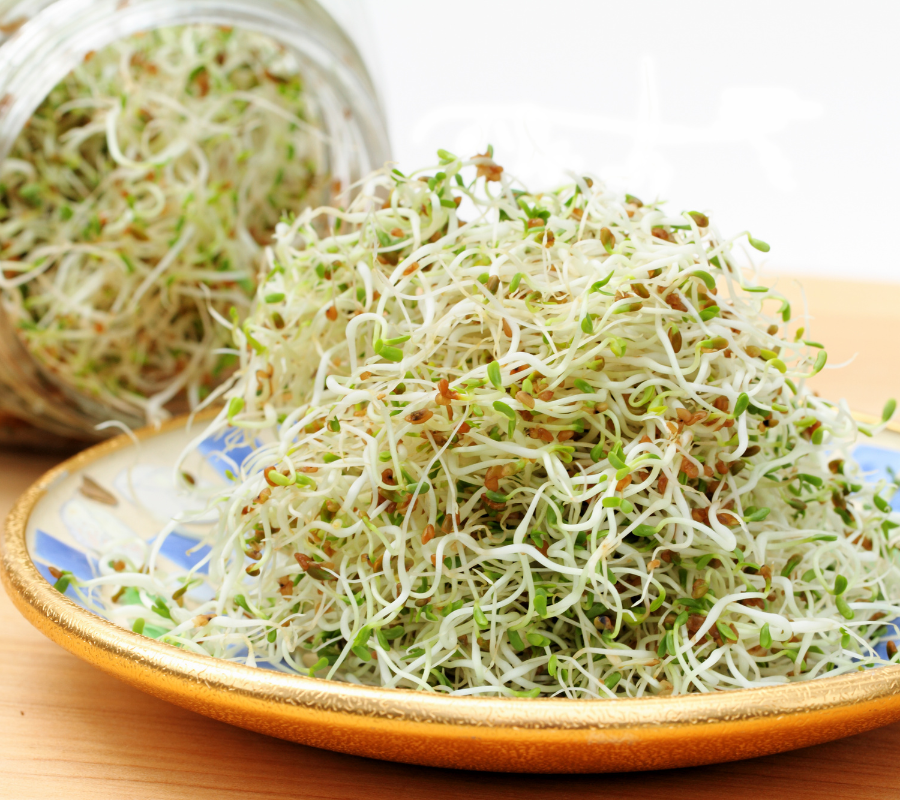 alfafa sprouts on a plate - substitute for bean sprouts