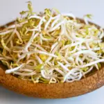 bean sprouts in a brown bowl