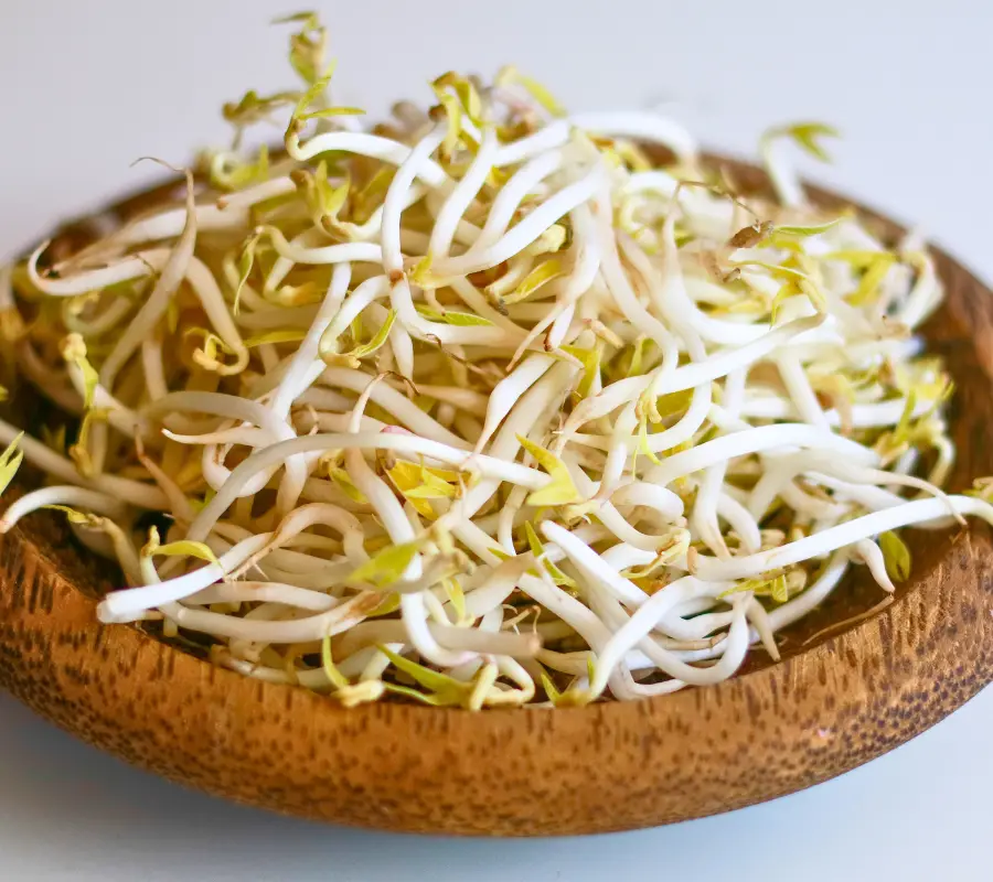 Substitutes for Bean Sprouts: Next Best Thing for Your Recipes
