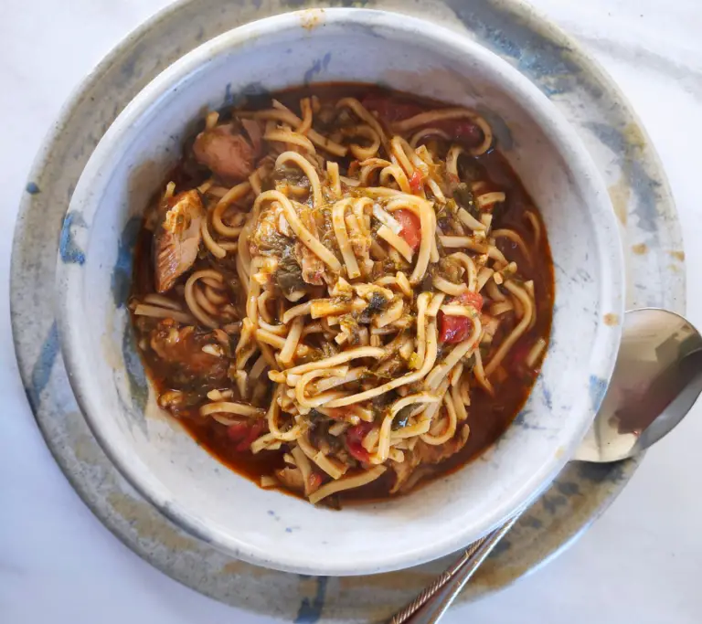 chicken noodle stew in a bowl