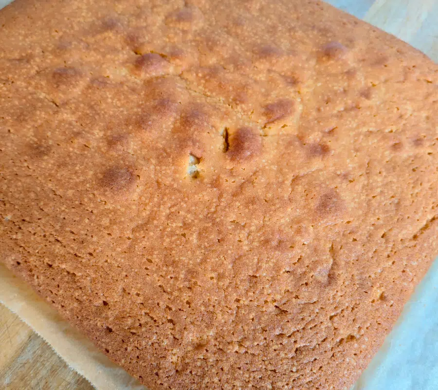 plain orange flavoured sponge in a baking tray