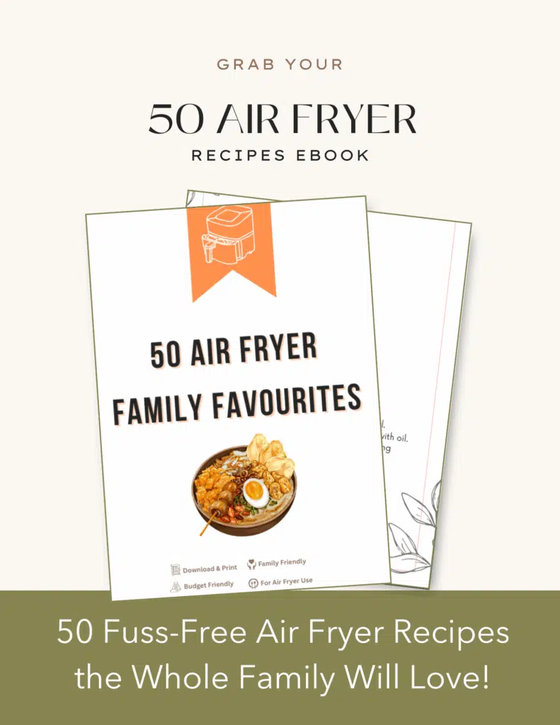 family air fryer recipe ebook
