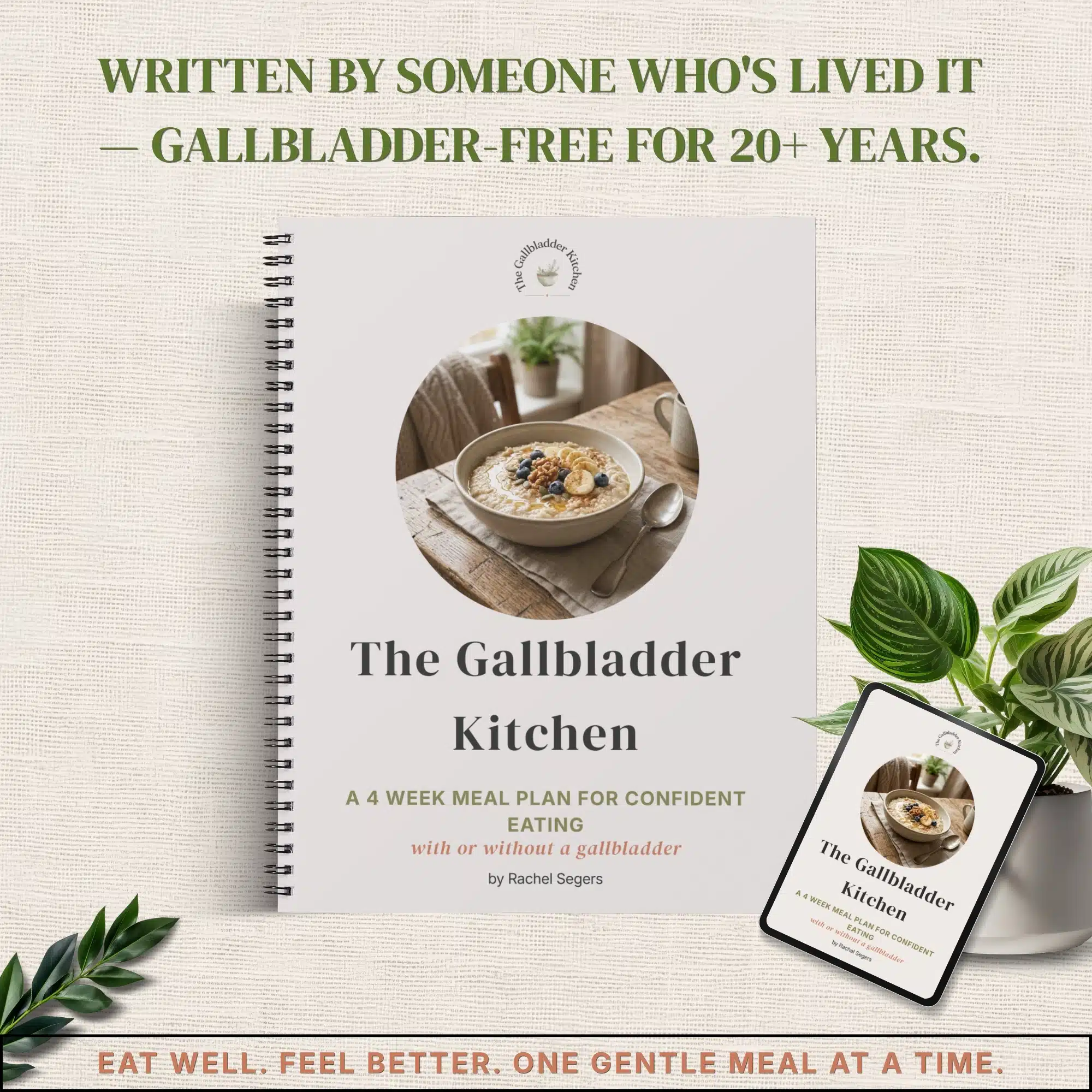 a mockup for a gallbladder meal plan. for people with gallstones and post surgery