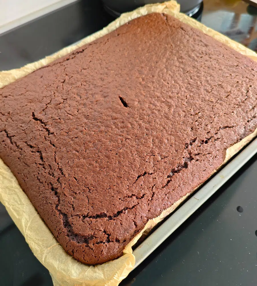 dairy free sponge chocolate fudge traybake