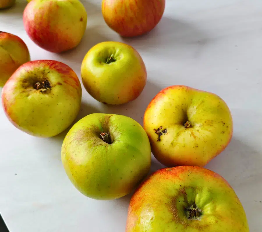 cooking apples on a white surface