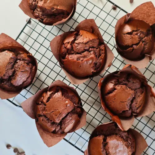 double chocolate chip muffins on a black wire rack