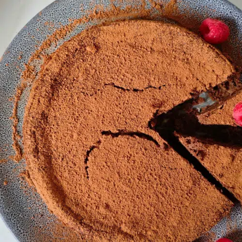 Chocolate and black bean torte dusted with cocoa powder and served with raspberries